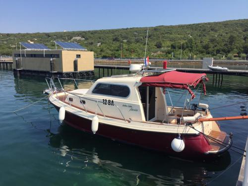 Motor yacht Damor 900 for hire in Krk