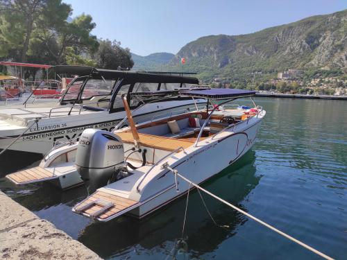 Motorboot Don Amon chartern in Kotor