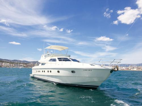 Yacht Ferretti 175 available for charter in Marina La Lonja