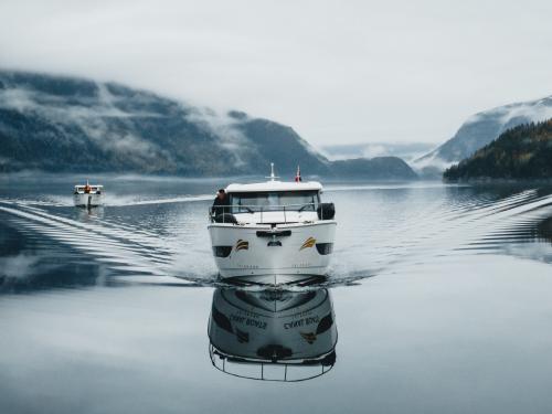 Motor yacht Greenline 39 Hybrid available for charter in Posgrunn