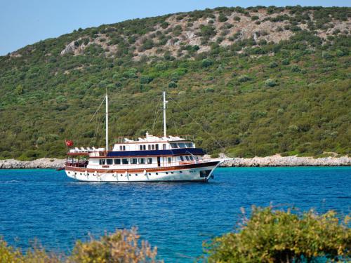 Yacht Gulet available for charter in Bodrum Marina Milta