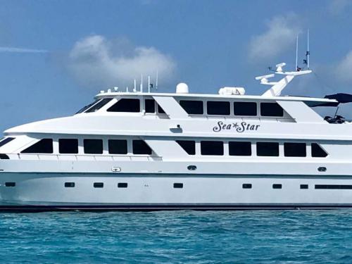 Yacht Hargrave 109 Yachtcharter in Palm Cay Marina