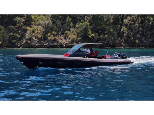 Motorboot Ion 10.5 Yachtcharter in Göcek