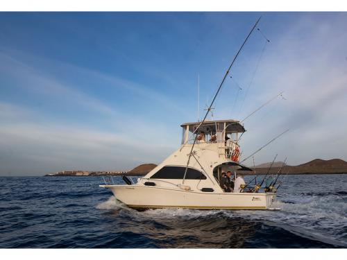 Motoryacht Luhrs 34 chartern in San Miguel de Abona