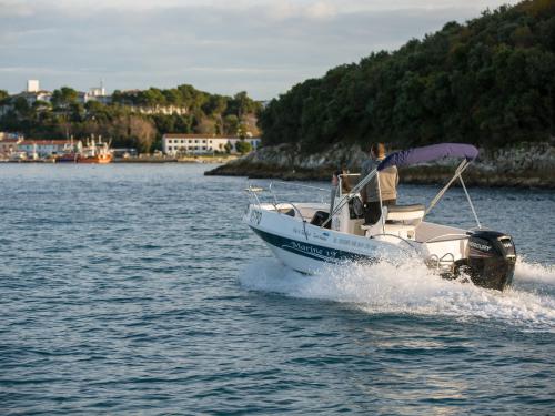 Motorboat Mano Marine 19 for rent in Vrsar