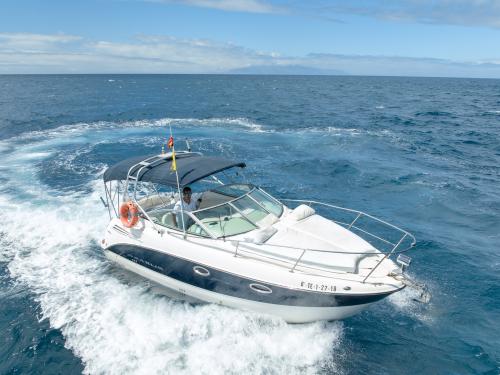 Motor yacht Maxum 27000 SE for rent in Puerto Colon