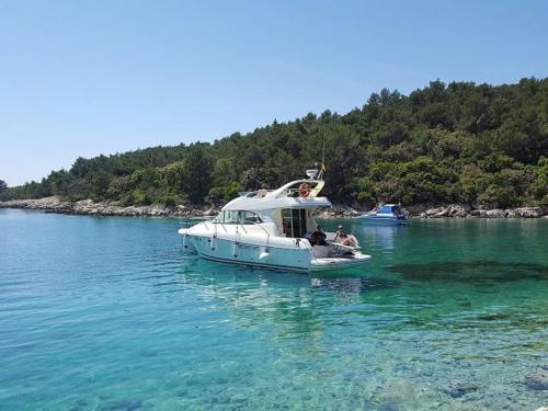 Motoryacht Prestige 36 Fly Yachtcharter in Krk