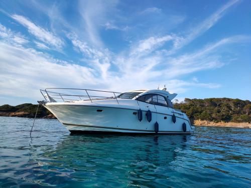 Motorboat Prestige 38 S available for charter in Toulon