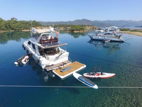 Motor yacht Princess 55 available for charter in Goecek