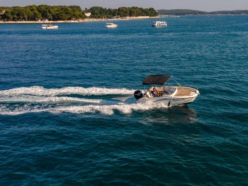 Motorboot Quicksilver 605 Yachtcharter in Fazana Motorboot Quicksilver 605 Yachtcharter in Fazana