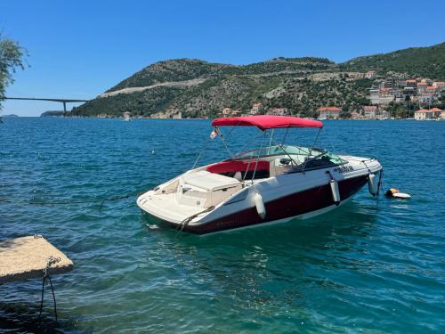 Motoryacht Regal 2250 Cuddy chartern in ACI Marina Split