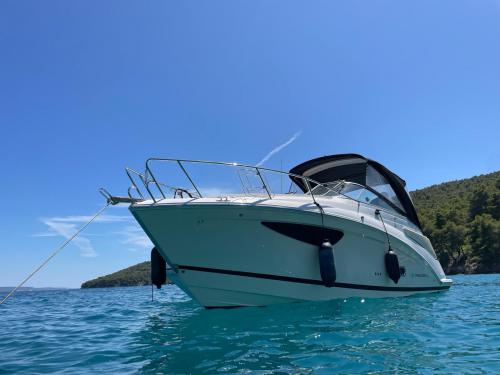 Yacht Regal 26 available for charter in Sukosan Bibinje