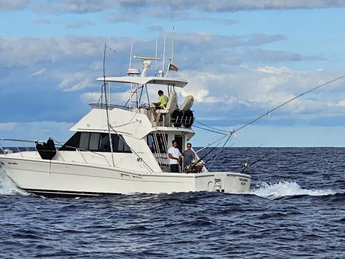 Motoryacht Riviera 39 Yachtcharter in Ponta Delgada