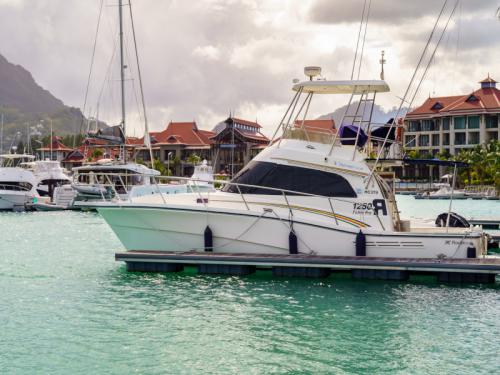 Yacht Rodman 1250 Fisher Pro for rent in Eden Island Resort