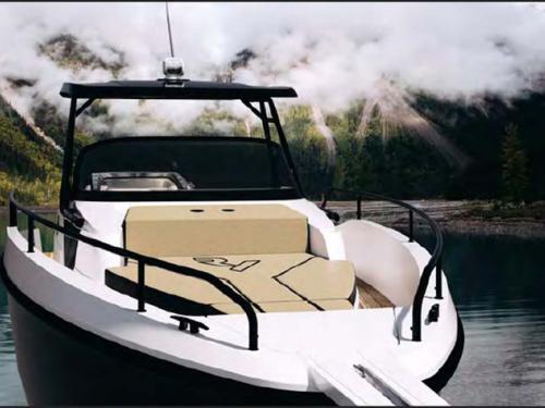 Motorboat Ryck 280 for hire in Marina Veruda