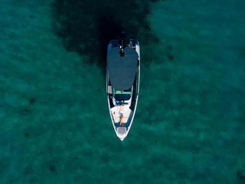 Yacht Saxdor 270 GTO chartern in Marina Dalmacija