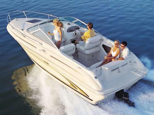 Motorboat Sea Ray 215 for rent in Waren