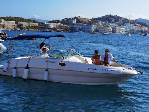 Motorboat Sea Ray 240 Sundancer for rent in Santa Ponsa