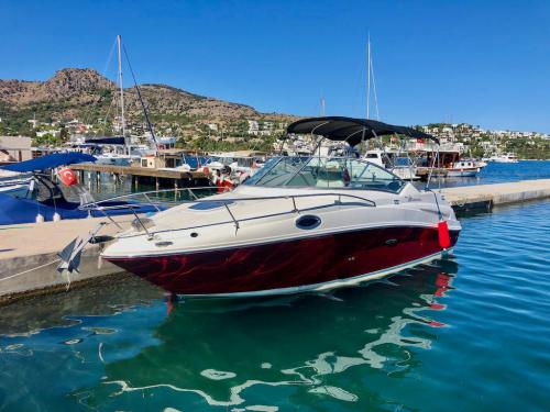 Motorboat Sea Ray 240 Sundancer for rent in Bodrum