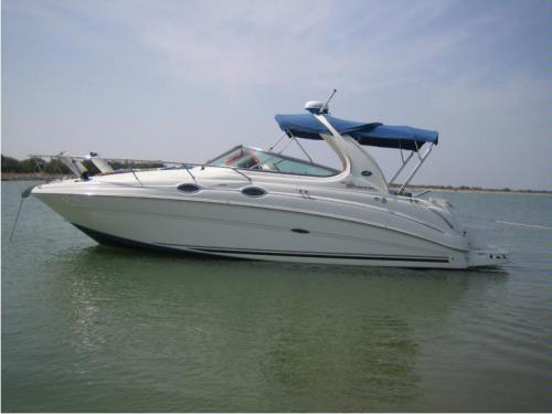 Motorboat Sea Ray 315 Sundancer for rent in Moniga del Garda