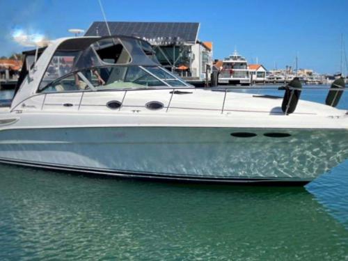 Motoryacht Sea Ray 340 Sundancer chartern in Kolymvari Marina