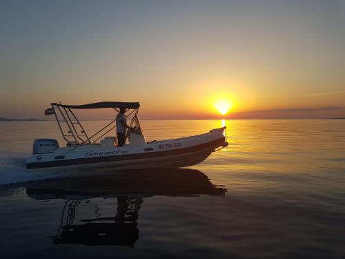 Motorboat Tempest 600 for rent in Sukosan Bibinje