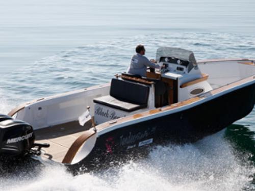 Yacht Tender Fish 28 for hire in Hyeres
