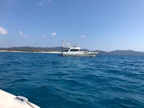 Yacht Waverunner 55 for hire in Club Nautico Olbia