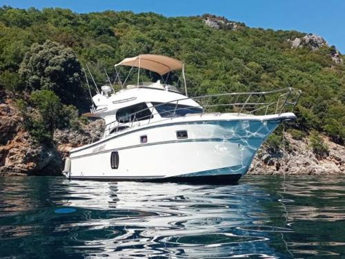 Motorboat Zafir 42 available for charter in Pula