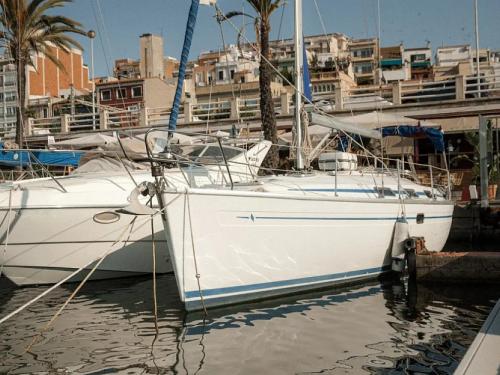 Segelboot Bavaria 34 Cruiser chartern in Port de Mahon