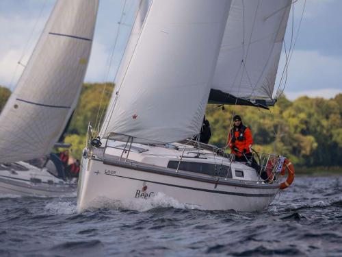 Sailing yacht Bavaria 34 Cruiser for rent in Flensburg