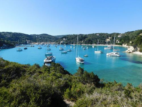 Segelyacht Bavaria 36 Cruiser Yachtcharter in Gouvia Marina