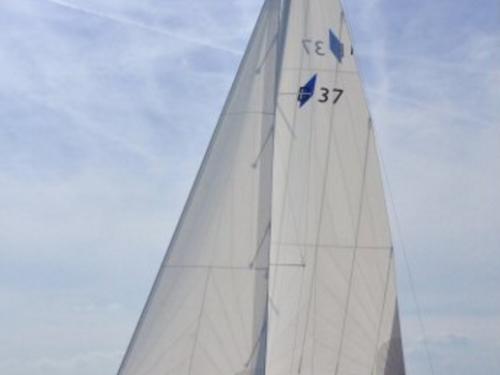 Segelyacht Bavaria 37 Cruiser Yachtcharter in Lemmer