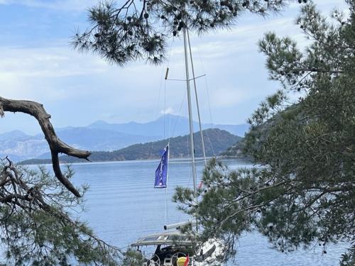 Sailing yacht Bavaria 37 Cruiser for hire in Ece Saray Marina