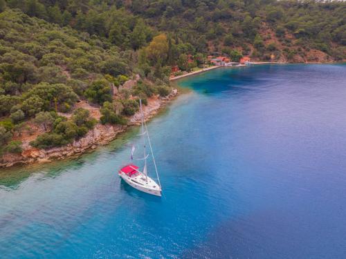 Sailing yacht Bavaria 41 Cruiser for rent in Ece Saray Marina