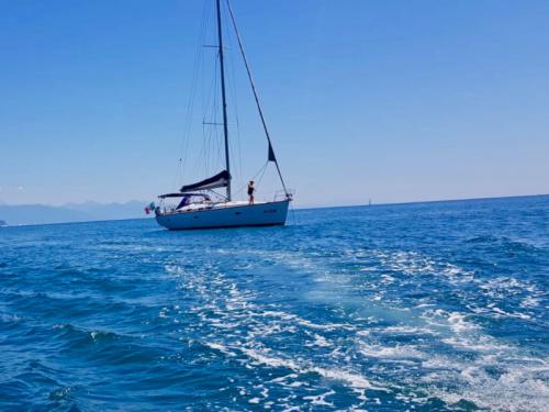 Sailing yacht Bavaria 46 Cruiser available for charter in Rosignano Solvay