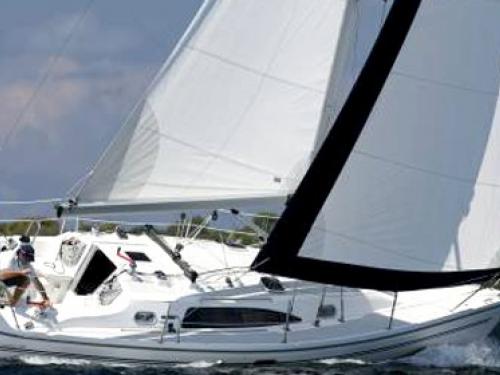 Yacht Catalina 309 chartern in Vinoy Resort Marina