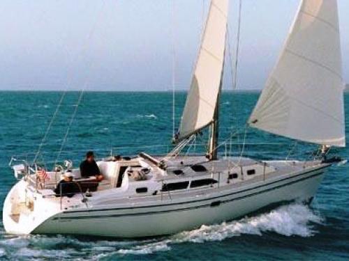 Segelyacht Catalina 350 chartern in Vinoy Resort Marina