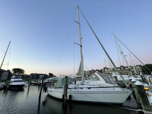 Yacht Catalina 42 for rent in Annapolis