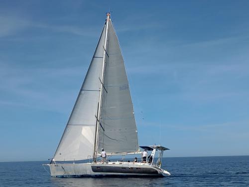 Yacht Cigale 16 Yachtcharter in Port d Andratx