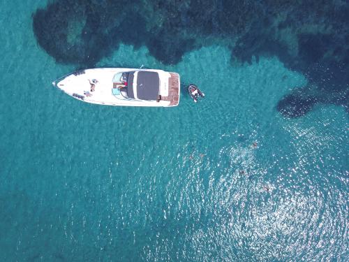 Motorboot Cruisers 44 chartern in Drapano Marina