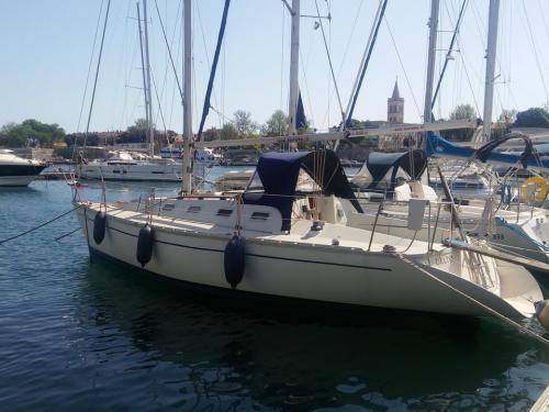 Yacht Elan 31 available for charter in Marina Tankerkomerc