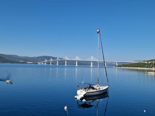 Yacht Elan 45 available for charter in ACI Marina Split