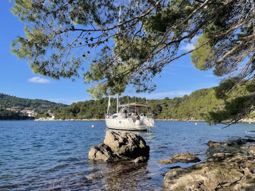 Segelyacht Elan 45 Impression chartern in Zadar