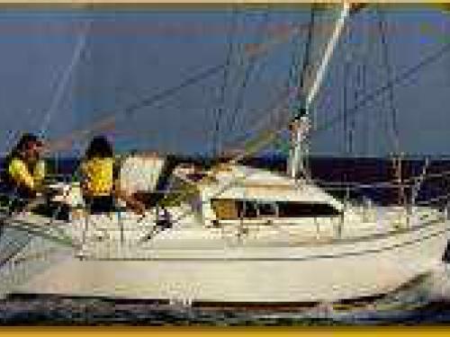 Feeling 286 Segelyacht Charter Romanshorn