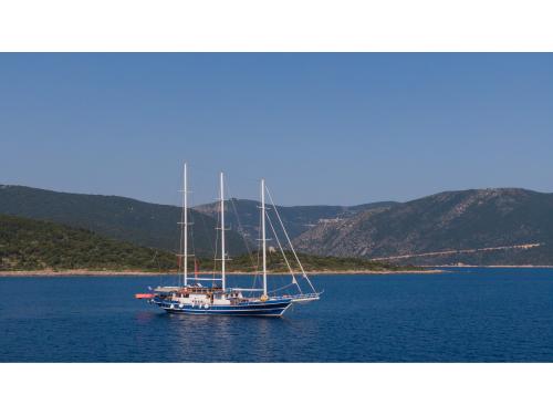 Gulet Luxury Yacht for charter in Salamina (Greece)