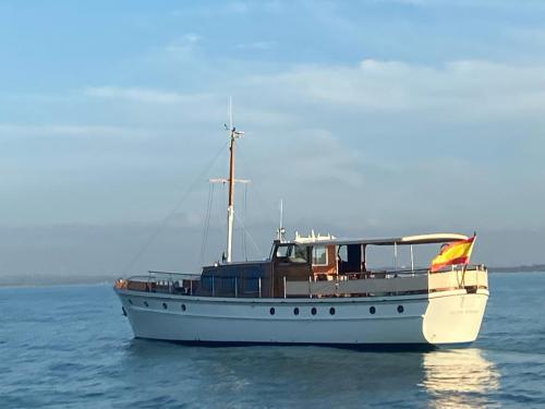 Yacht Gulet for rent in Sant Antoni de Portmany