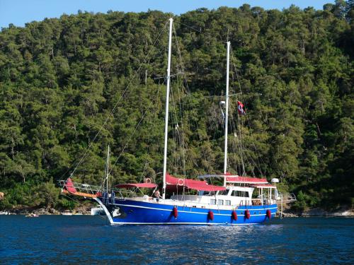 Sailing boat Gulet for hire in Fethiye