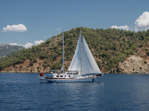 Yacht Gulet for rent in Goecek Belediyesi Marina