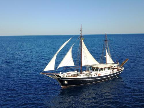 Segelyacht Gulet chartern in Parikia